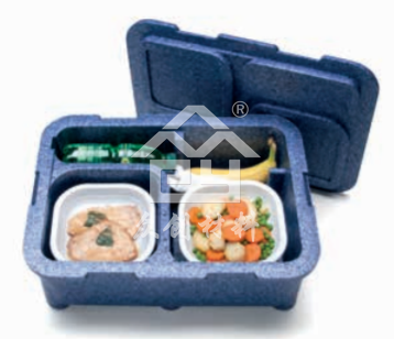 EPP热、冷、鲜食品箱