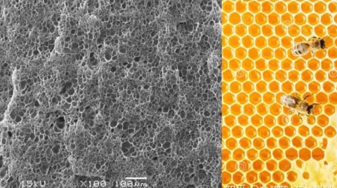 epp发泡聚丙烯的显微结构，可以看到这是种连续闭孔结构，类似于蜂窝